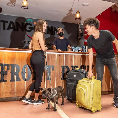 Beer Hotel Iguazu Puerto Iguazú Dış mekan fotoğraf